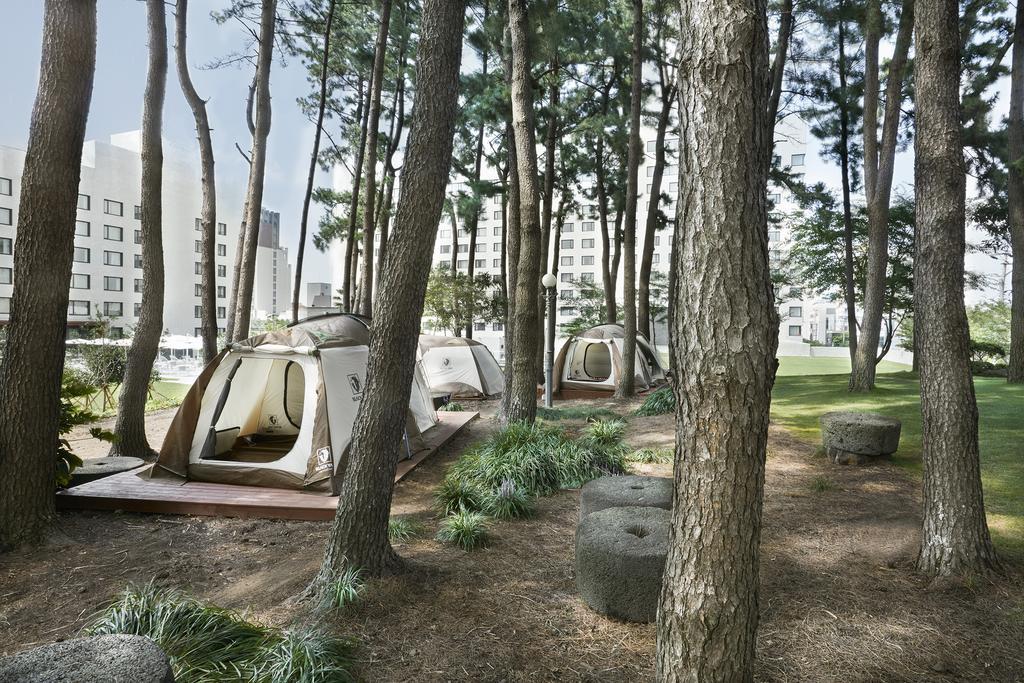 Maison Glad Jeju Buitenkant foto